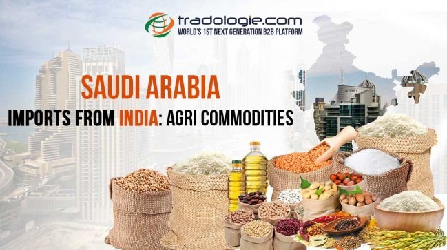 Spicing Up Saudi Arabian Palates  Nilkanth Agri Impex s Flavorful Export Journey