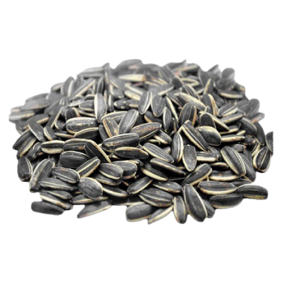 Sunflower seeds