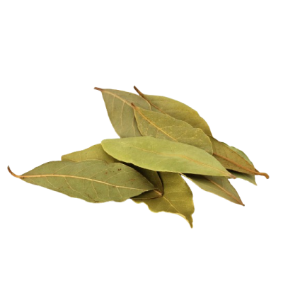 Bay Leaf